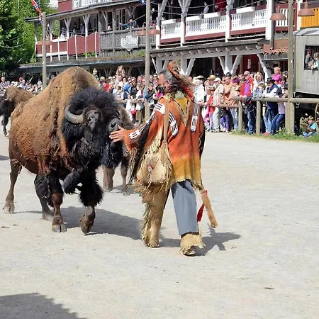 Harz In Hasselfelde, Cleaning Included *